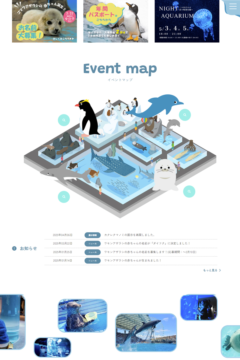 水族館サイト写真